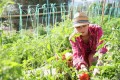 bando concorso giardiniere Comune Camogli