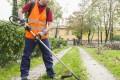 bando concorso per giardiniere domanda
