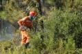 bando concorso operai forestali piemonte domanda