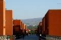 bando concorso unical università calabria