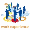 work experience viterbo