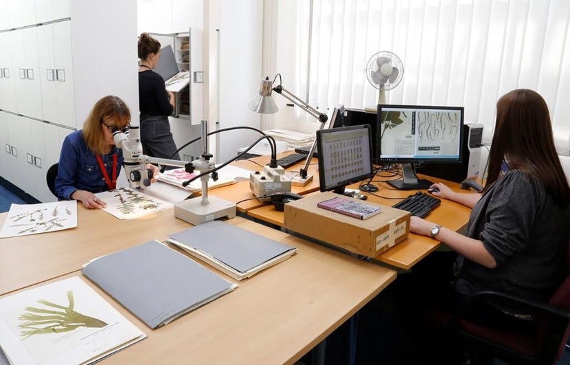 Concorso Università di Camerino 2026 per Funzionari del Sistema Museale