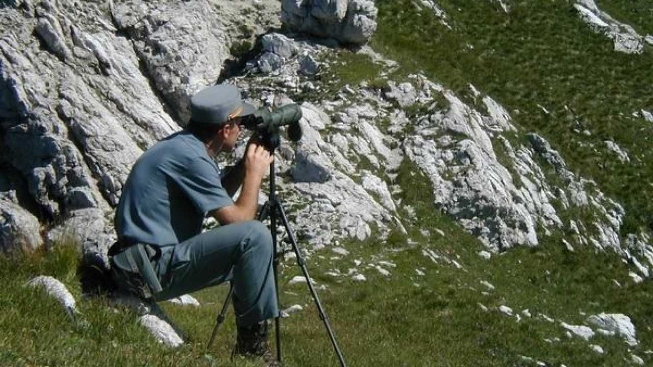 concorso tecnici ERSAF