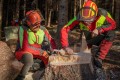 concorso tecnici forestali Unione Comuni Val Bisenzio