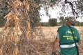 concorsi assunzioni ARIF Puglia