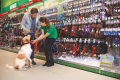 Maxi Zoo Lavoro con noi
