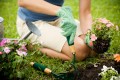 concorso per giardinieri Comune Chiaravalle