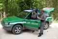 concorso Tenenti ruolo Forestale Carabinieri