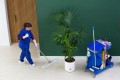 lavoro Cooperativa Insieme Si Può