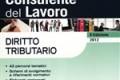 Consulente del Lavoro
