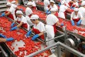 lavorare in la doria assunzioni