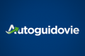 lavoro autisti autoguidovie