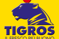offerte lavoro con noi tigros candidatura