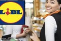 lavorare in lidl candidatura