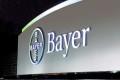 lavoro bayer
