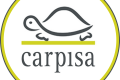 lavora con noi carpisa