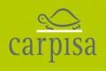 offerte lavora con noi carpisa candidatura