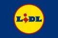 lavorare in lidl candidatura