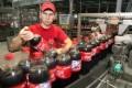 lavoro coca cola 2015
