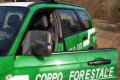 concorso carabinieri ruolo forestale