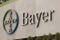 lavoro bayer