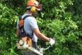 bando concorso addetti pulizie operatori ecologici