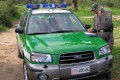 bando concorso corpo forestale carabinieri