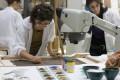 Concorso restauratori Opificio Pietre Dure Firenze