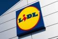 offerte lavoro con noi lidl torino