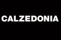 lavoro calzedonia