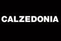 offerte lavoro con noi calzedonia