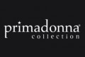 lavorare in primadonna candidatura