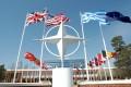 stage alla nato