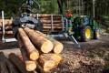 bando lavoro operai agricoli forestali domanda