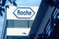 assunzioni roche